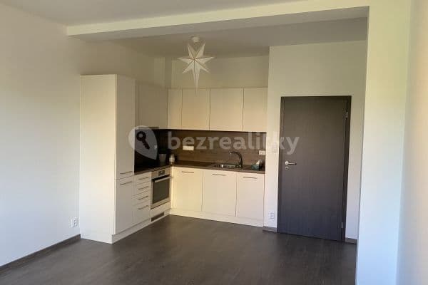 1 bedroom with open-plan kitchen flat to rent, 60 m², Ježovská, Praha 1 bedroom with open-plan kitchen flat to rent, 60 m², Ježovská, Praha