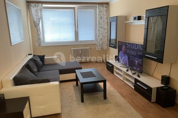 1 bedroom with open-plan kitchen flat to rent, 55 m², Petržílkova, Prague, Prague