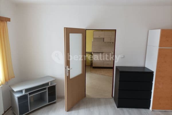 1 bedroom with open-plan kitchen flat to rent, 50 m², Boženy Němcové, Říčany