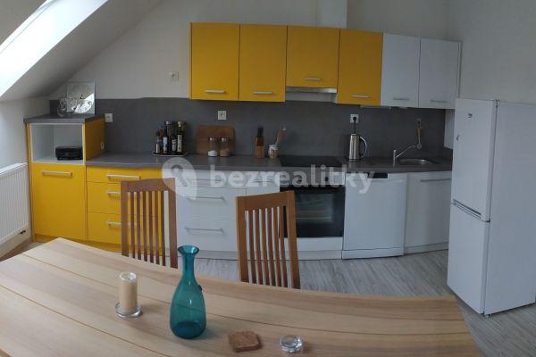 3 bedroom with open-plan kitchen flat to rent, 110 m², Dolní Dobrouč