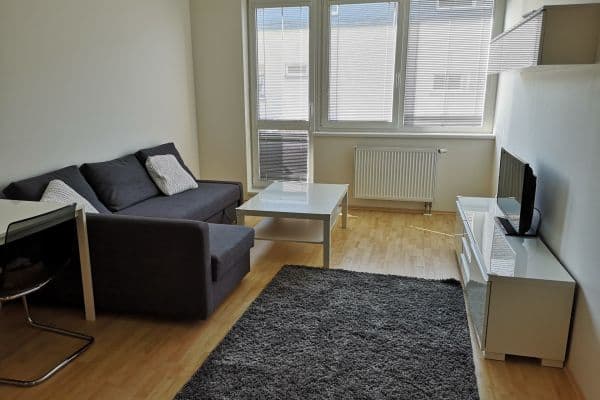 1 bedroom with open-plan kitchen flat to rent, 55 m², U Hostavického potoka, Praha 1 bedroom with open-plan kitchen flat to rent, 55 m², U Hostavického potoka, Praha