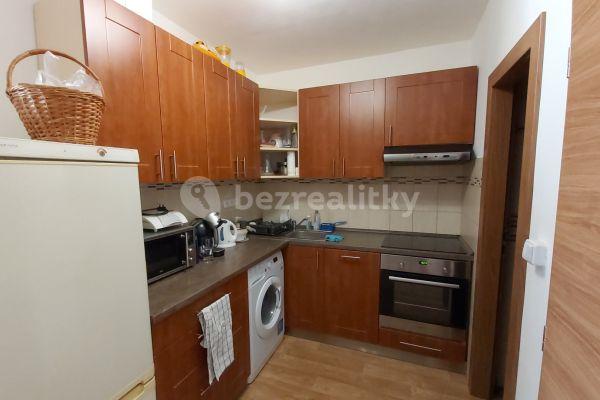 1 bedroom with open-plan kitchen flat to rent, 38 m², U Děkanky, Praha
