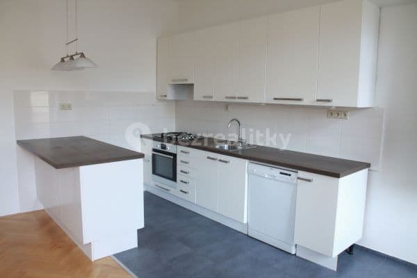 2 bedroom with open-plan kitchen flat to rent, 76 m², Cejl, Brno