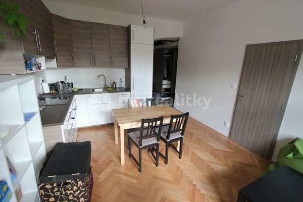 1 bedroom with open-plan kitchen flat to rent, 51 m², Prague, Prague
