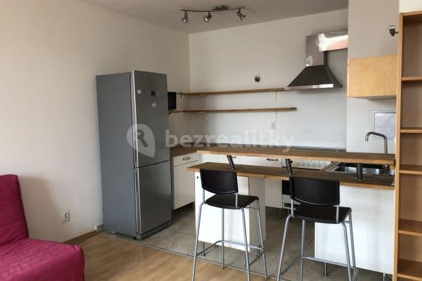 1 bedroom with open-plan kitchen flat to rent, 60 m², Modřická, 