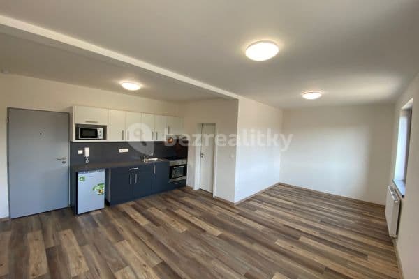 Studio flat to rent, 35 m², Nešverova, Brno Studio flat to rent, 35 m², Nešverova, Brno