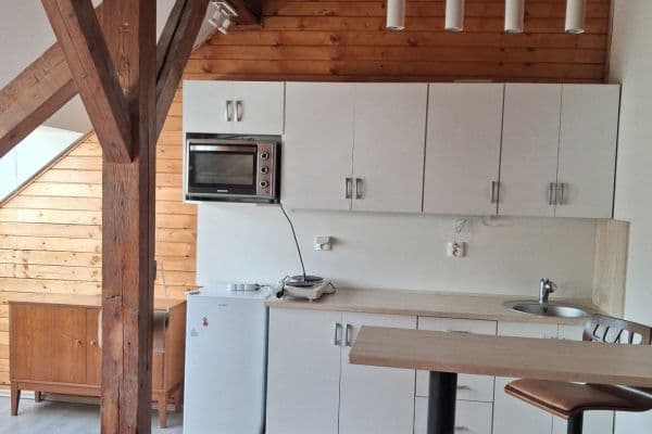 1 bedroom with open-plan kitchen flat to rent, 37 m², Pod Karlovarskou Silnicí, Praha 1 bedroom with open-plan kitchen flat to rent, 37 m², Pod Karlovarskou Silnicí, Praha