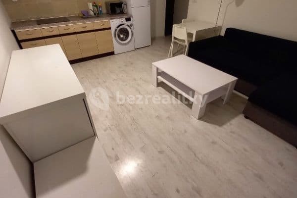 1 bedroom with open-plan kitchen flat to rent, 42 m², Holandská, Prague, Prague