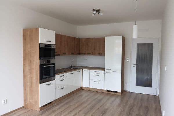 1 bedroom with open-plan kitchen flat to rent, 49 m², Vídeňská, Brno 1 bedroom with open-plan kitchen flat to rent, 49 m², Vídeňská, Brno