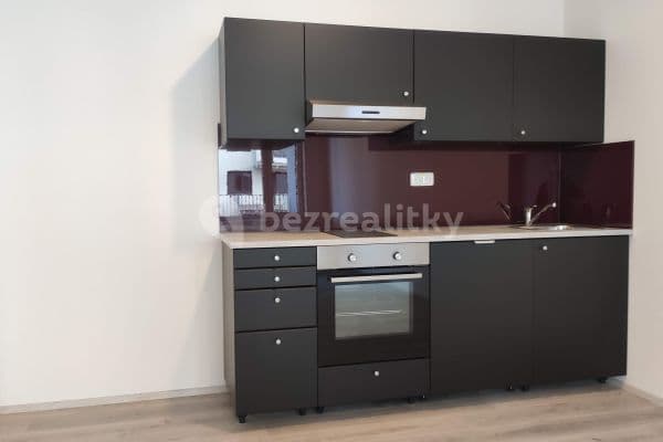 1 bedroom with open-plan kitchen flat to rent, 55 m², Hugo Haase, 1 bedroom with open-plan kitchen flat to rent, 55 m², Hugo Haase,