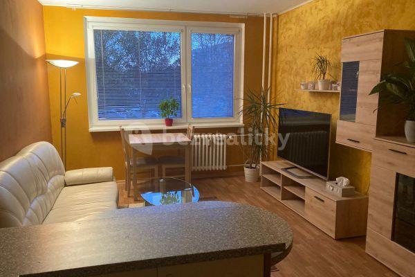 1 bedroom with open-plan kitchen flat to rent, 41 m², Urbánkova, Prague, Prague