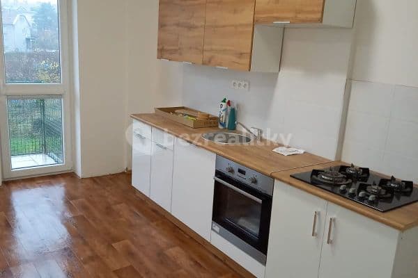 1 bedroom with open-plan kitchen flat to rent, 67 m², Merhautova, Brno 1 bedroom with open-plan kitchen flat to rent, 67 m², Merhautova, Brno
