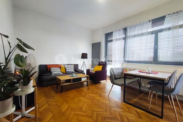 1 bedroom with open-plan kitchen flat to rent, 58 m², Zborovská, Kolín