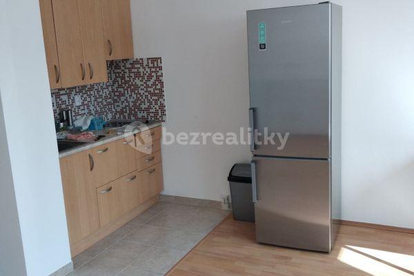 1 bedroom with open-plan kitchen flat to rent, 50 m², Mladenovova, Prague, Prague