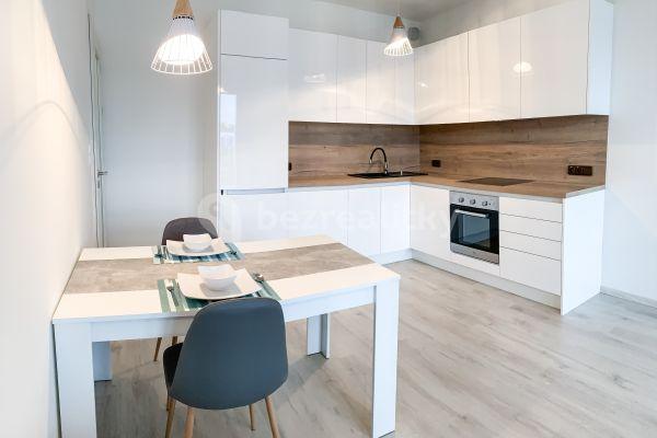 1 bedroom with open-plan kitchen flat to rent, 50 m², Lehovecká, Hlavní město Praha