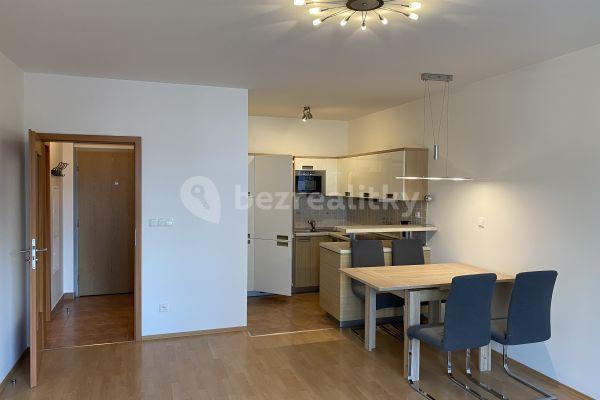 1 bedroom with open-plan kitchen flat to rent, 57 m², Ocelářská, Praha