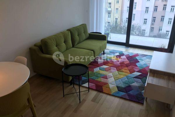Studio flat to rent, 43 m², Šumavská, Brno
