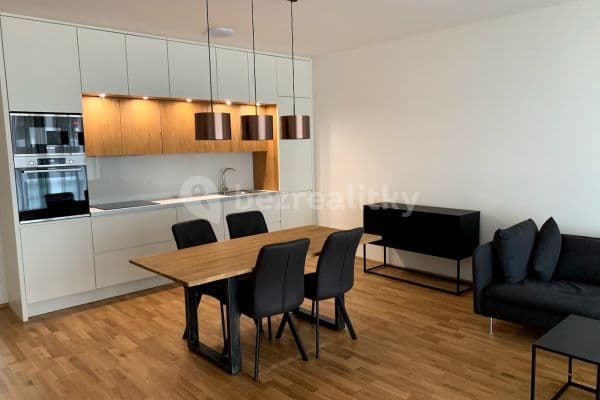 2 bedroom with open-plan kitchen flat to rent, 100 m², U Mlýnského kanálu, Praha