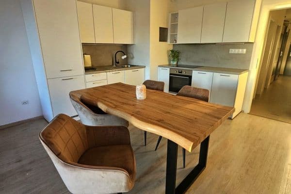 1 bedroom with open-plan kitchen flat to rent, 76 m², Škrábkových, Praha 1 bedroom with open-plan kitchen flat to rent, 76 m², Škrábkových, Praha