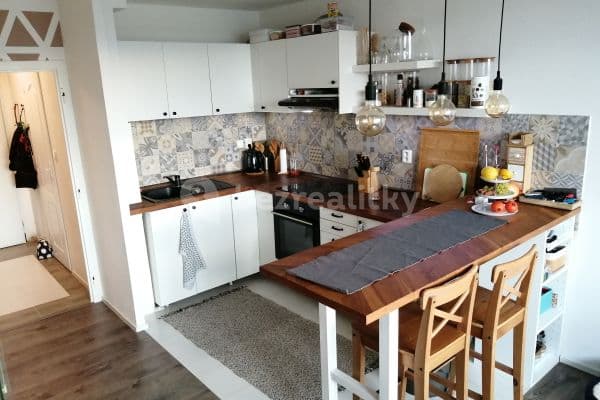 1 bedroom with open-plan kitchen flat to rent, 41 m², Daškova, Prague, Prague