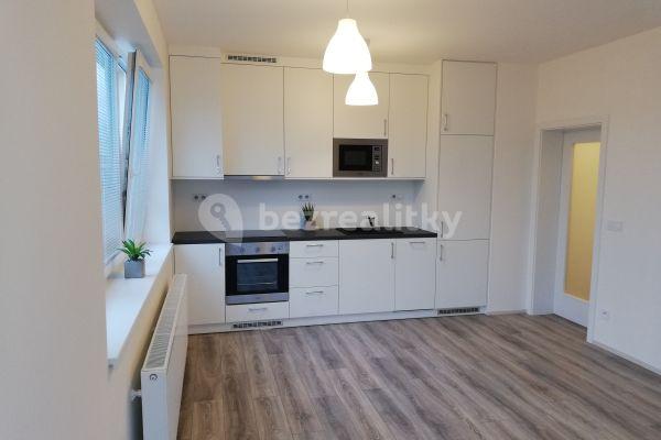 1 bedroom with open-plan kitchen flat to rent, 56 m², Milovice