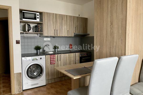 1 bedroom with open-plan kitchen flat to rent, 47 m², Durychova, Hradec Králové