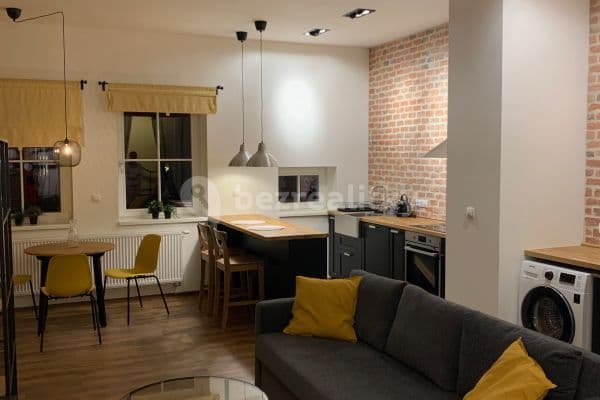 Studio flat to rent, 45 m², Kotlářská, Brno, Jihomoravský Region