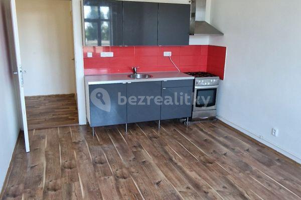 1 bedroom with open-plan kitchen flat to rent, 55 m², Koněvova, Praha