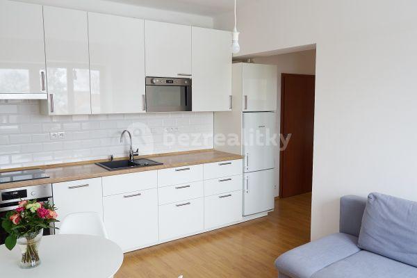 1 bedroom with open-plan kitchen flat to rent, 40 m², Luštěnická, Prague, Prague