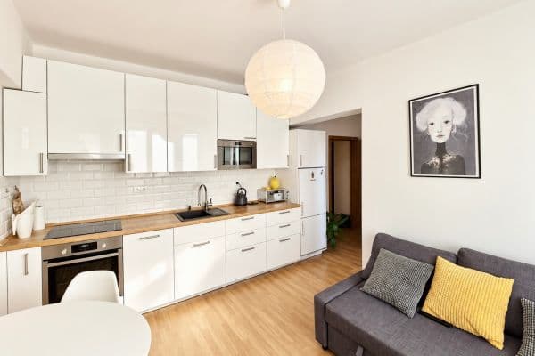 1 bedroom with open-plan kitchen flat to rent, 40 m², Luštěnická, Praha 1 bedroom with open-plan kitchen flat to rent, 40 m², Luštěnická, Praha