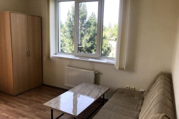 1 bedroom with open-plan kitchen flat to rent, 40 m², U Křížku, 1 bedroom with open-plan kitchen flat to rent, 40 m², U Křížku,