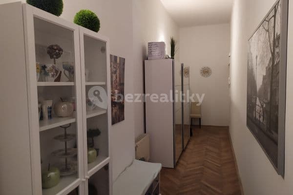 1 bedroom with open-plan kitchen flat to rent, 57 m², Spálená, Praha