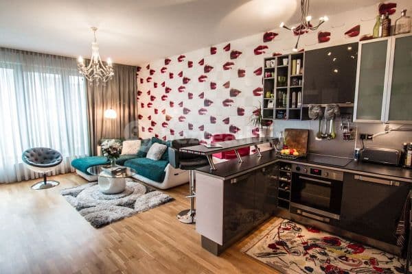 1 bedroom with open-plan kitchen flat to rent, 67 m², Prague, Prague