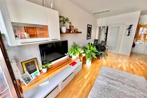 2 bedroom with open-plan kitchen flat to rent, 80 m², Baarova, Praha - Michle 2 bedroom with open-plan kitchen flat to rent, 80 m², Baarova, Praha - Michle