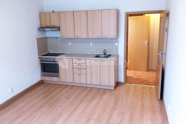 1 bedroom with open-plan kitchen flat to rent, 42 m², Bulharská, Praha