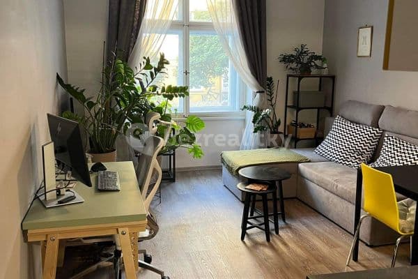 1 bedroom with open-plan kitchen flat to rent, 46 m², Na Spojce, Praha 1 bedroom with open-plan kitchen flat to rent, 46 m², Na Spojce, Praha
