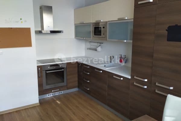 2 bedroom with open-plan kitchen flat to rent, 52 m², Chodská, Brno