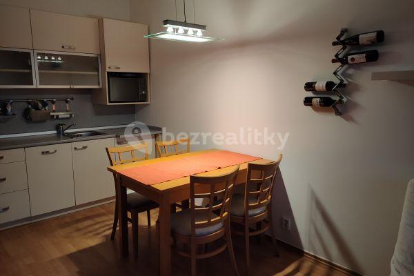 1 bedroom with open-plan kitchen flat to rent, 45 m², Ginzova, Hlavní město Praha