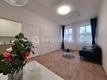 1 bedroom with open-plan kitchen flat to rent, 42 m², Havlíčkova, 1 bedroom with open-plan kitchen flat to rent, 42 m², Havlíčkova,