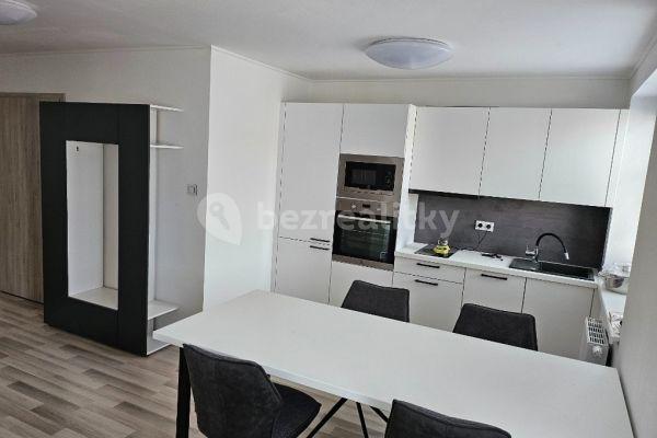 2 bedroom with open-plan kitchen flat to rent, 60 m², Trávníky, Brno
