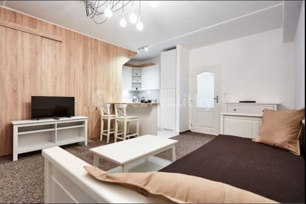 1 bedroom with open-plan kitchen flat to rent, 54 m², K Lanovce, Jáchymov, Karlovarský Region