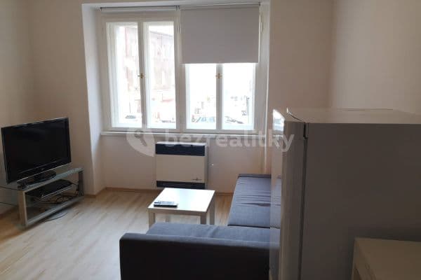 1 bedroom with open-plan kitchen flat to rent, 43 m², Holandská, Praha