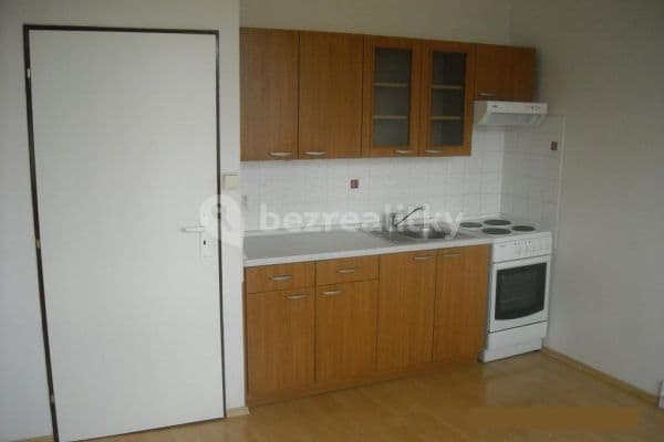 1 bedroom with open-plan kitchen flat to rent, 43 m², České Budějovice, Jihočeský Region