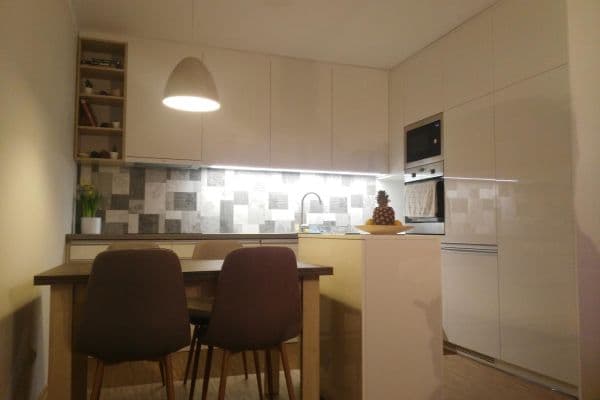 1 bedroom with open-plan kitchen flat to rent, 53 m², Václavkova, Hradec Králové 1 bedroom with open-plan kitchen flat to rent, 53 m², Václavkova, Hradec Králové