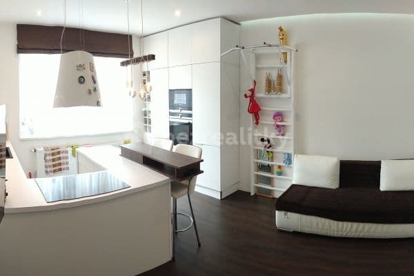 1 bedroom with open-plan kitchen flat to rent, 54 m², U Družstva Ideál, Praha