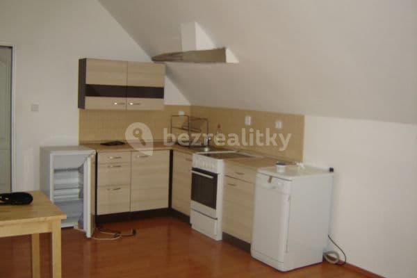 1 bedroom with open-plan kitchen flat to rent, 45 m², Nad Schody, Praha