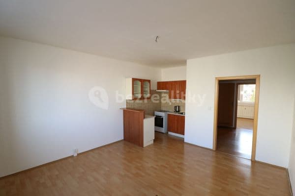 1 bedroom with open-plan kitchen flat to rent, 45 m², Mládí, 