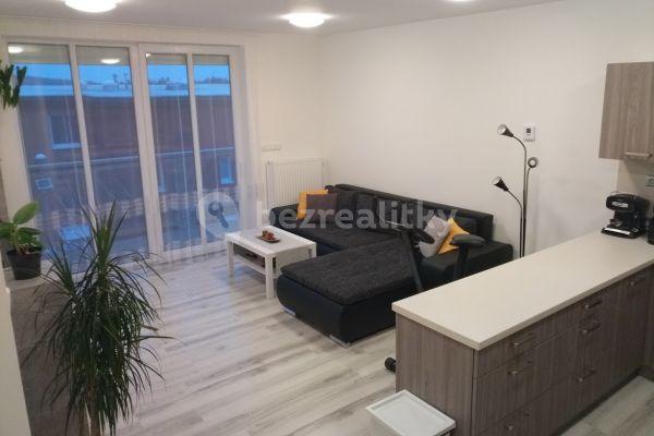 1 bedroom with open-plan kitchen flat to rent, 53 m², Jindřichův Hradec
