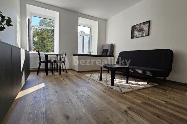 1 bedroom with open-plan kitchen flat to rent, 45 m², Kounicova, Brno