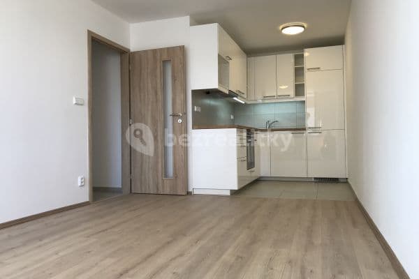 1 bedroom with open-plan kitchen flat to rent, 43 m², Havlíčkova, 1 bedroom with open-plan kitchen flat to rent, 43 m², Havlíčkova,